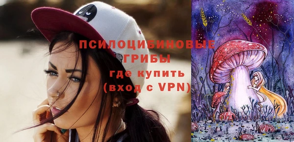 твердый Белокуриха