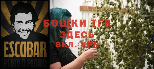 ПСИЛОЦИБИНОВЫЕ ГРИБЫ Белоозёрский