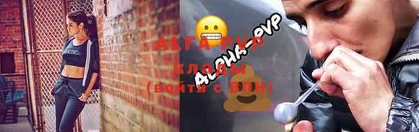 ПСИЛОЦИБИНОВЫЕ ГРИБЫ Белоозёрский