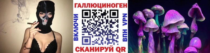 Псилоцибиновые грибы Cubensis сколько стоит Высоцк